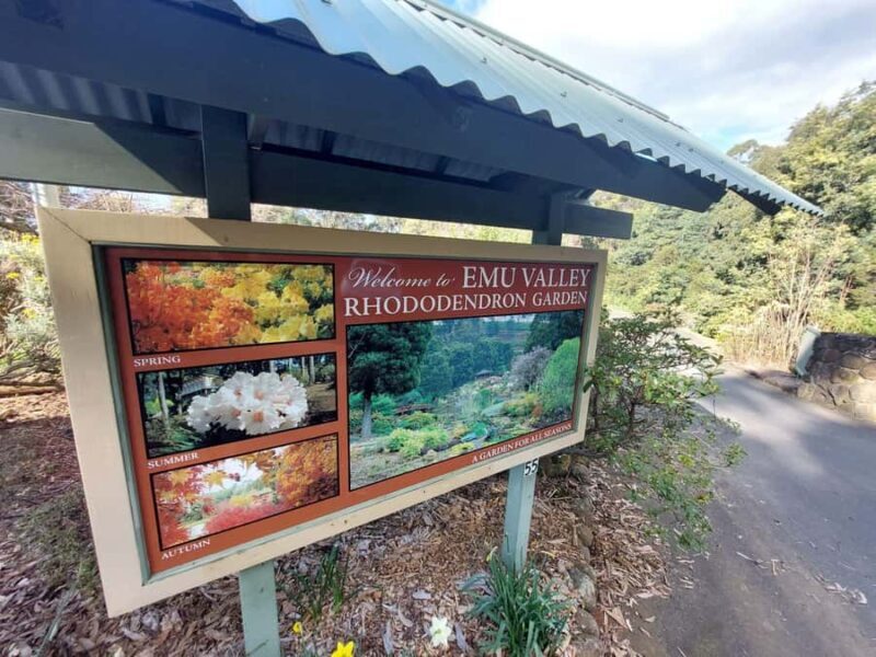 Burnie Attractions Bus - Authentic Experiences and Common Criticisms