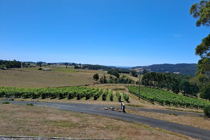 Burnie Shore Excursion: Tasting Trail Tour - An Engaging Tour Through Tasmania’s Tasty Side