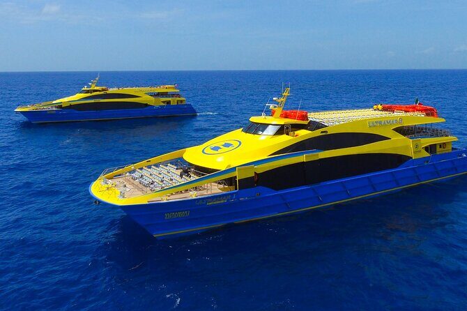 Bus & Ferry round-trip tickets to Cozumel, from Cancun - Who Should Book This Tour?