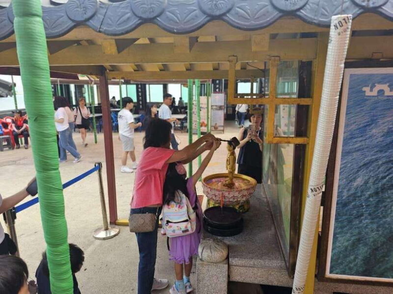 Busan: A Well-Rounded Small-Group Tour with Certified Guide - A Deep Dive Into the Busan Experience