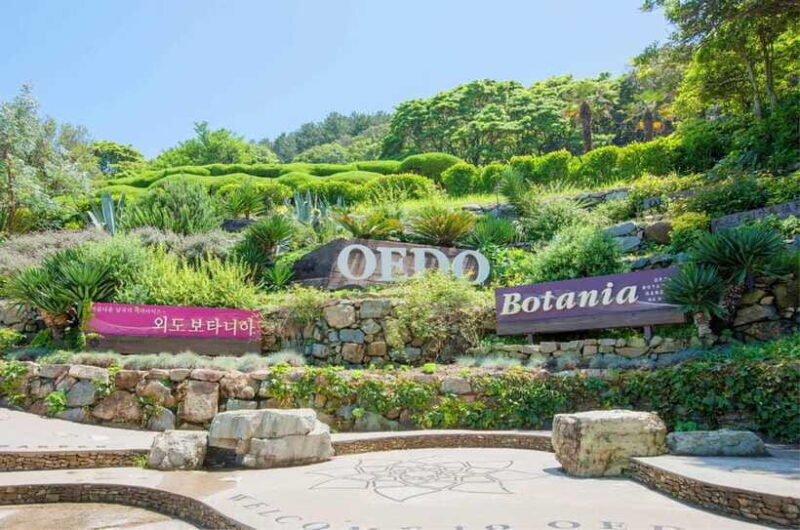 Busan: A1.Hidden Gem Geoje & Oedo Botania Island& Cable car - Final Thoughts