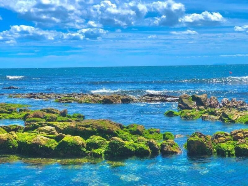 Busan: Blue Line Park Sky Capsule Train Ticket - Ticket Pricing and Availability