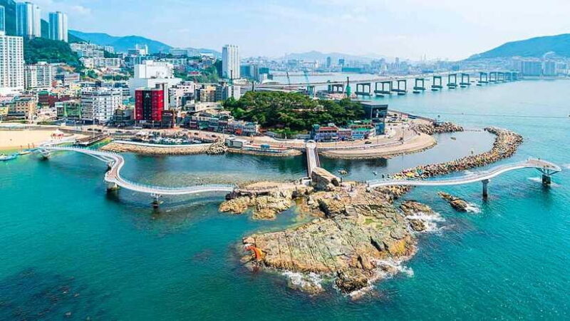 Busan: Busan 9 Highlights Tour - Key Points  