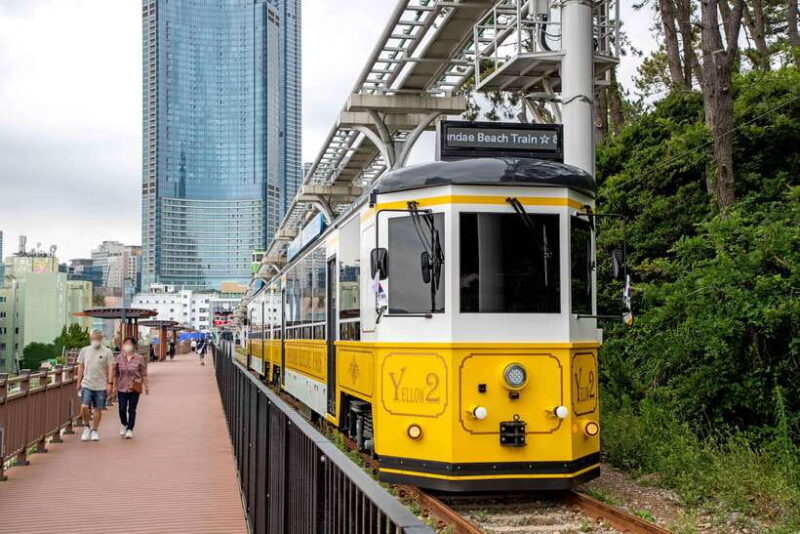 Busan: Busan 9 Highlights Tour - Who Will Love This Tour?