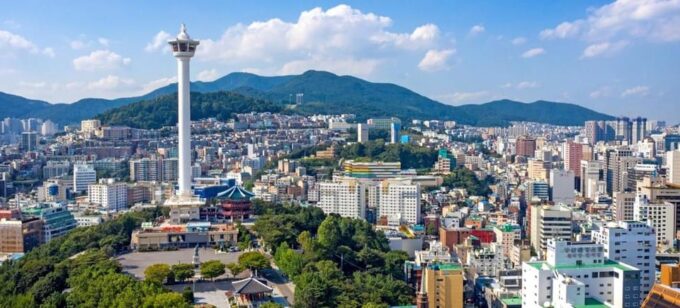 Busan City: Customizable Private Day Tour With Driver - Guided Experience
