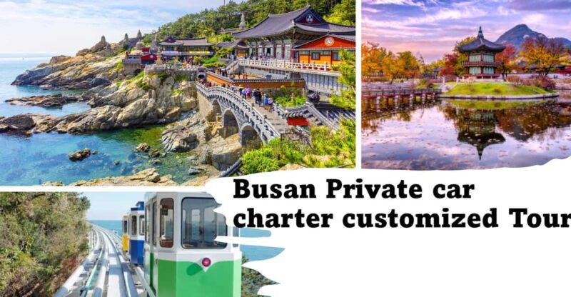 Busan City Private Chartered Car Tour - Experience Highlights