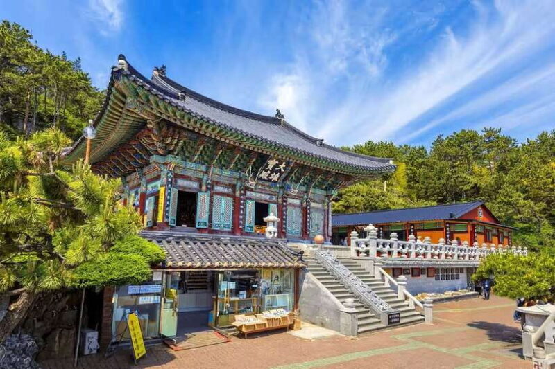 Busan: Coastal Treasures Beach Train, Culture Village & More - Who Will Love This Tour?