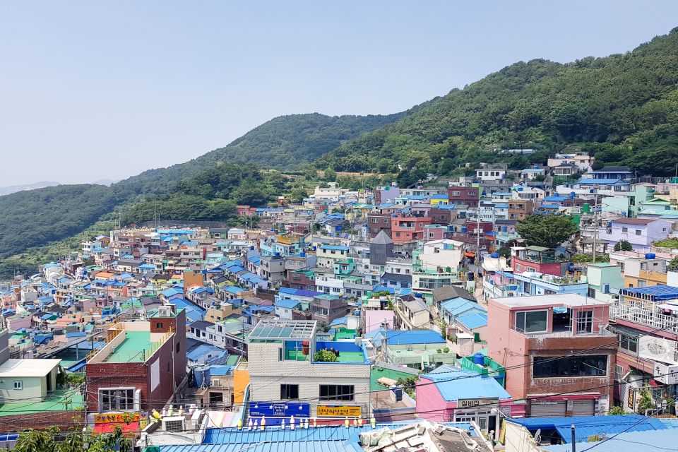 Busan: Day Trip With Gamcheon Culture Village and Sky Walk - Lunch and Local Cuisine