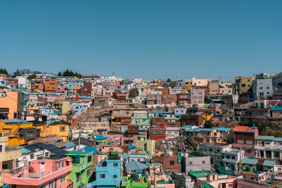 Busan: Full-Day City Tour - Important Information