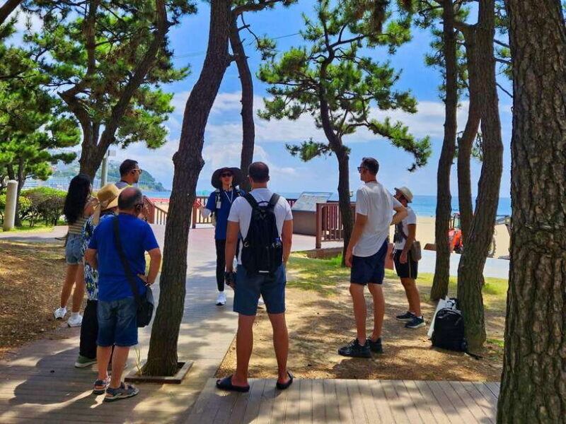 Busan: Haeundae 100-Minute Walking Tour - Key Points