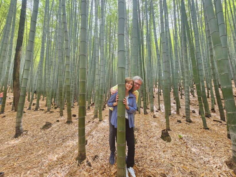 Busan Hidden Gems Private Tour with a Certified Guide - Transportation and Comfort