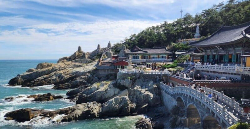 Busan private full day tour by KTX from Seoul - Key Points