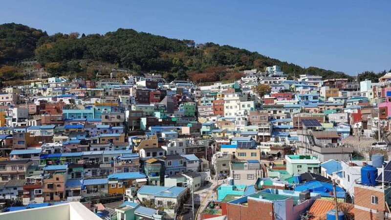 Busan private full day tour by KTX from Seoul - An In-Depth Look at the Busan Day Trip