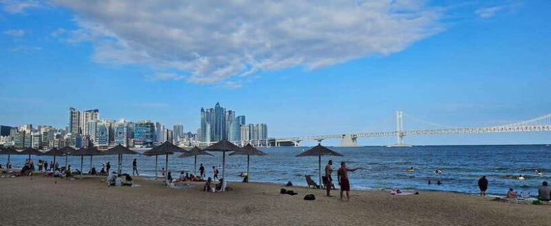 Busan private full day tour by KTX from Seoul - Final Thoughts