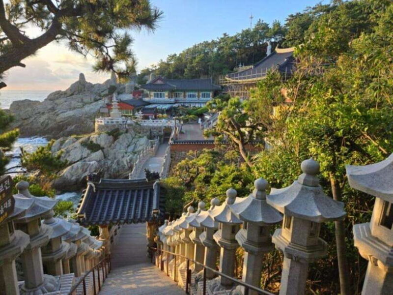 Busan private full day tour by KTX from Seoul - FAQ