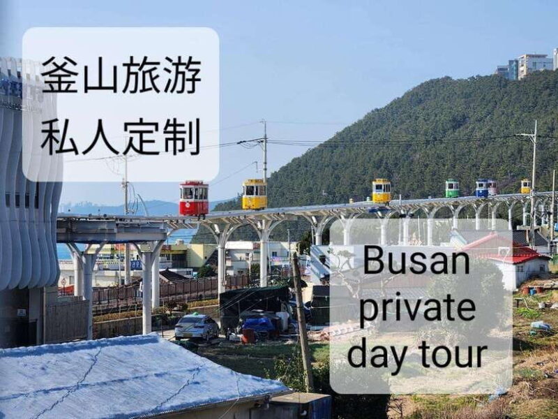 Busan private tour - Pricing and Value