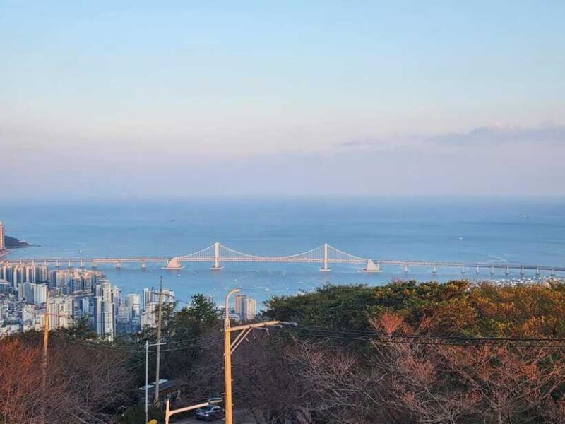 Busan private tour : K-pop dance class + tour - FAQ