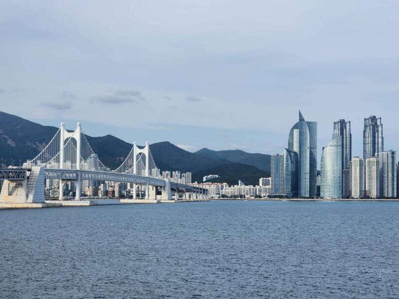 Busan private tour with an official tour guide - Final Thoughts