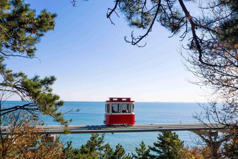 Busan: Sunset Haeundae Sky Capsule & Busan Night view Tour - The Sum Up