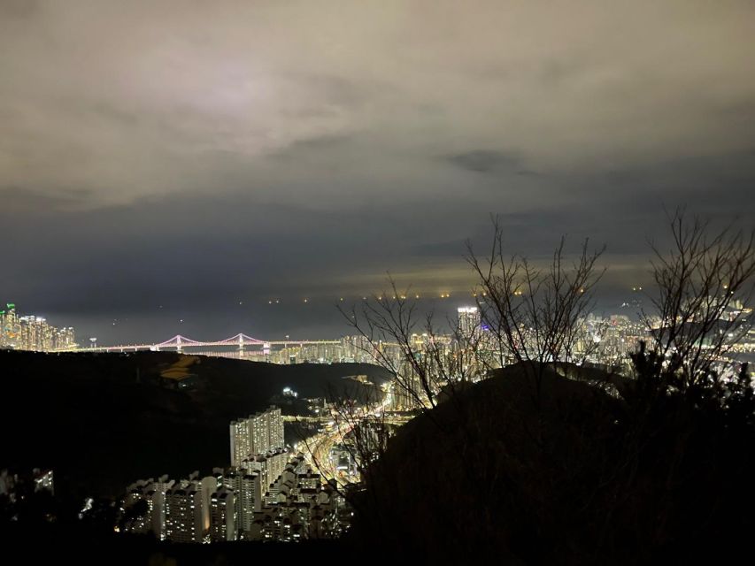 Busan: the Best Night View Small Group Tour - Itinerary