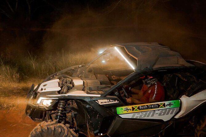 Bush Trails Excursion ATV/Buggy Tour - The Experience: Authenticity, Fun, and Safety