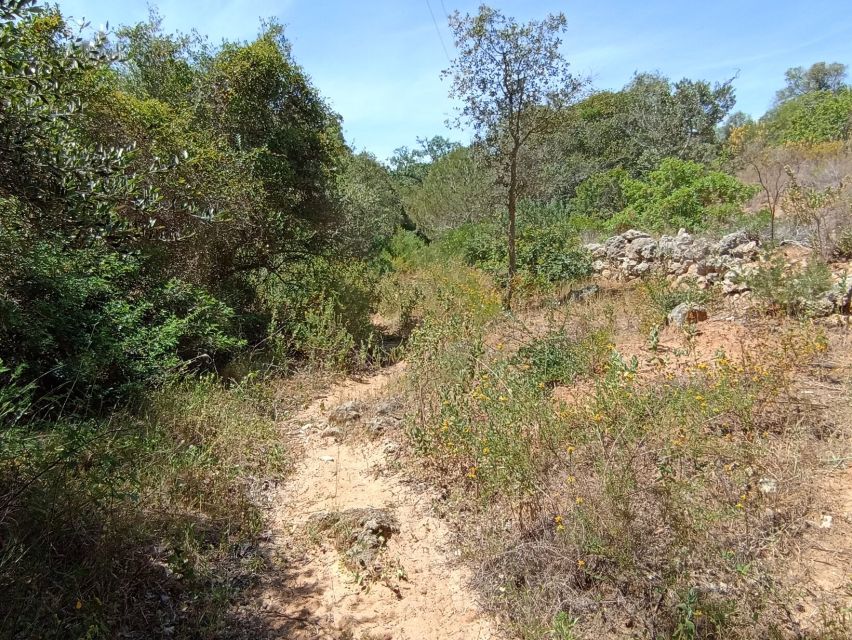 Bush Walk, Chimneys, and Wine - Itinerary and Highlights