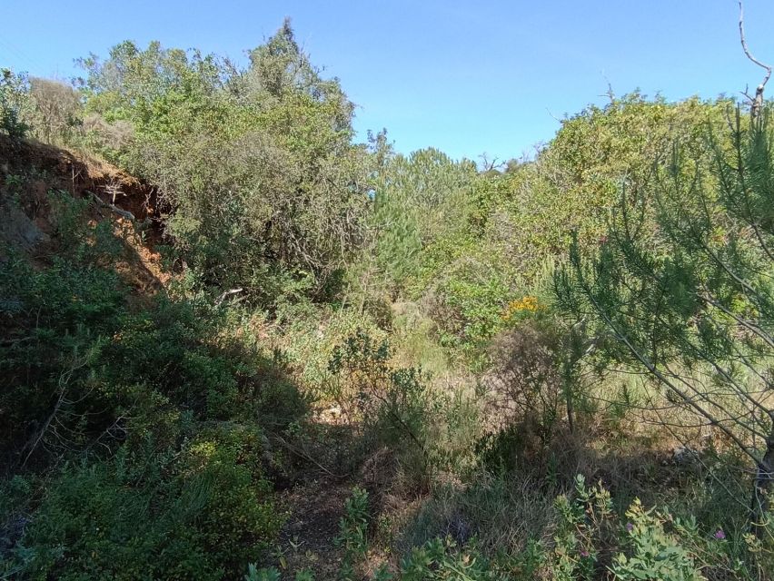 Bush Walk, Chimneys, and Wine - Tour Inclusions and Exclusions