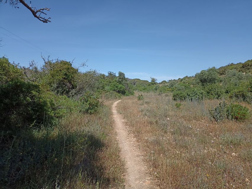 Bush Walk, Chimneys, and Wine - Preparing for Your Bush Walk