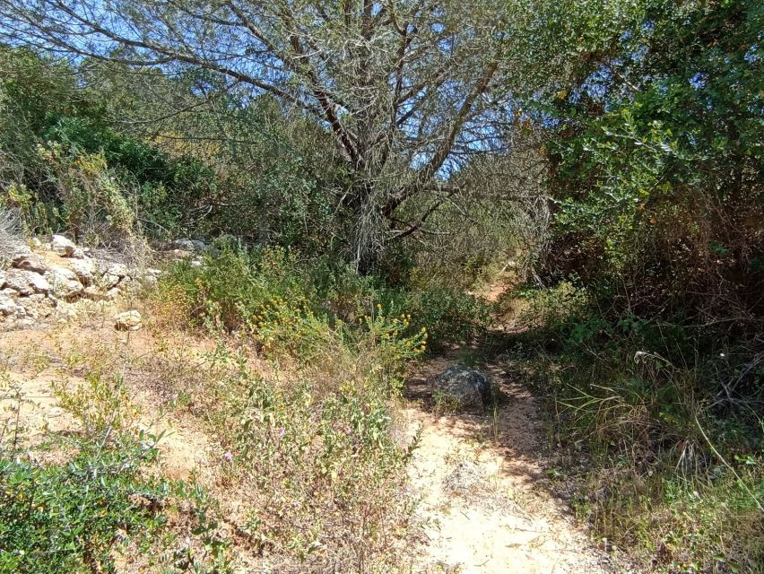 Bush Walk, Chimneys, and Wine - Booking Your Excursion