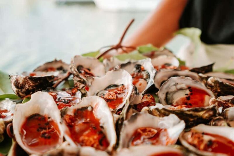 Bushtucker Cultural Cruise - The Value: Is the Bushtucker Cultural Cruise Worth It?