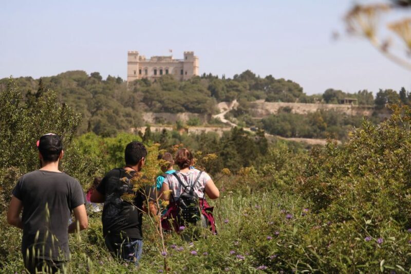 Buskett Woodlands and Dingli Cliffs Private Nature Tour - Discovering Malta’s Natural Gems