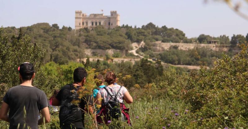 Buskett Woodlands and Dingli Cliffs Private Nature Tour - Whats Included in the Tour