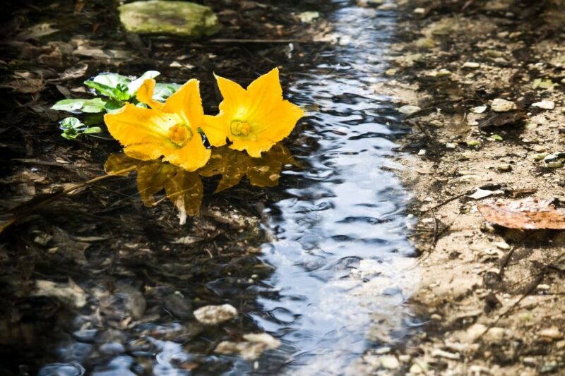 Buskett Woodlands and Dingli Cliffs Private Nature Tour - Recommended Packing List