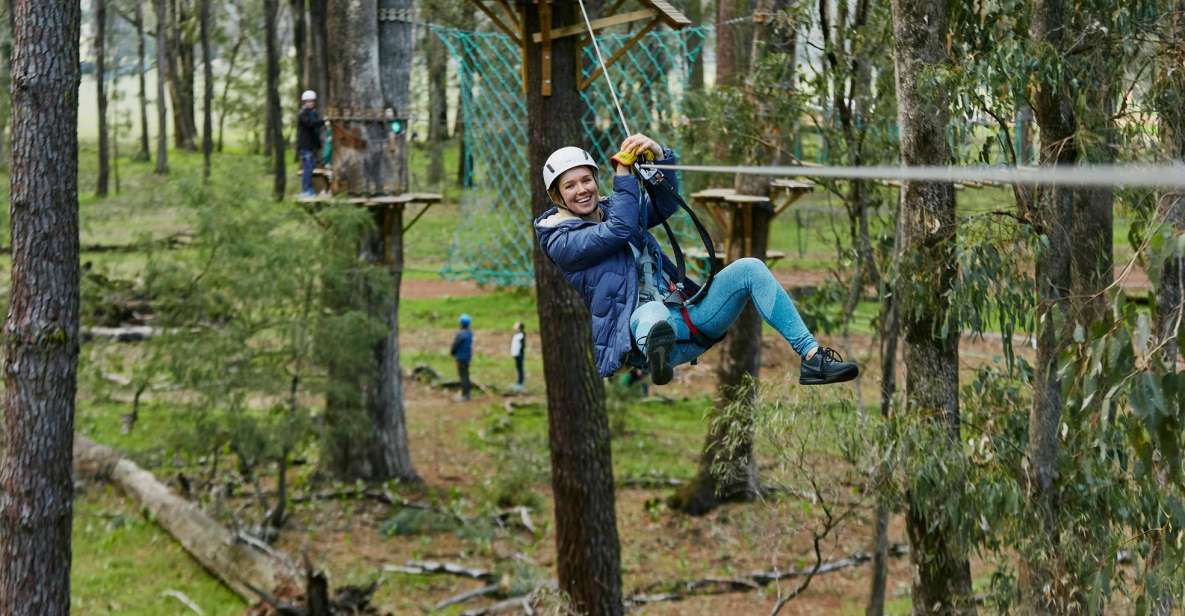 Busselton: Forest Adventure With Zip Lining and Rope Course - Key Points
