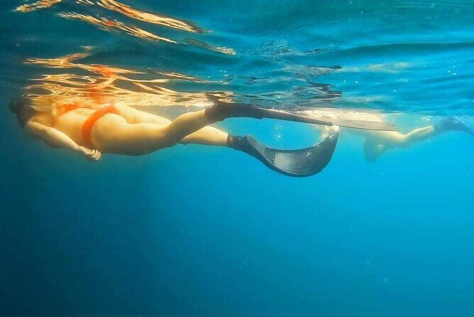 Busselton Jetty and Underwater Sculptures Snorkel Boat Tour - What to Expect: A Deeper Dive into the Itinerary