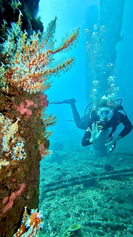 Busselton: Jetty Discover Scuba Diving Experience - A Closer Look at the Experience