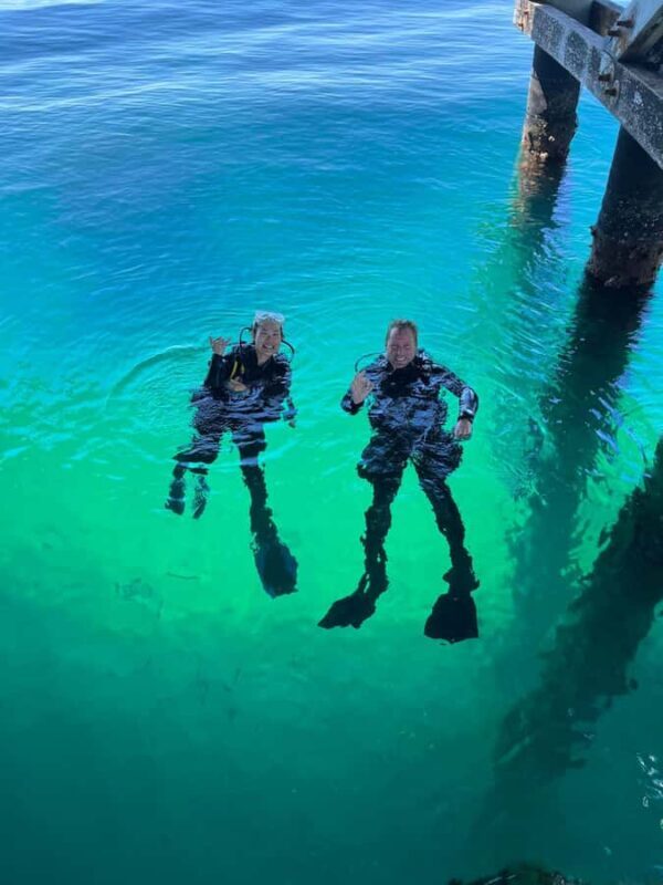 Busselton: Jetty Scuba Dive Tours with Underwater Sculptures - Key Points