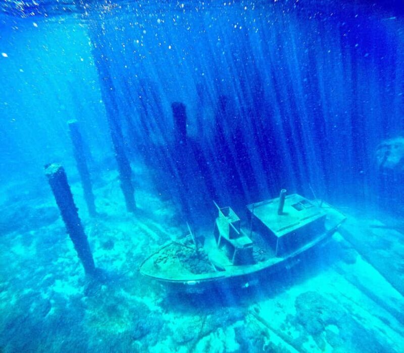 Busselton: Jetty Scuba Dive Tours with Underwater Sculptures - The Sum Up
