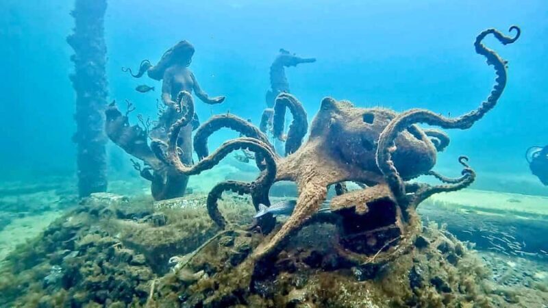 Busselton: Jetty Snorkeling Tour with Underwater Sculptures - The Experience: What to Expect from Start to Finish