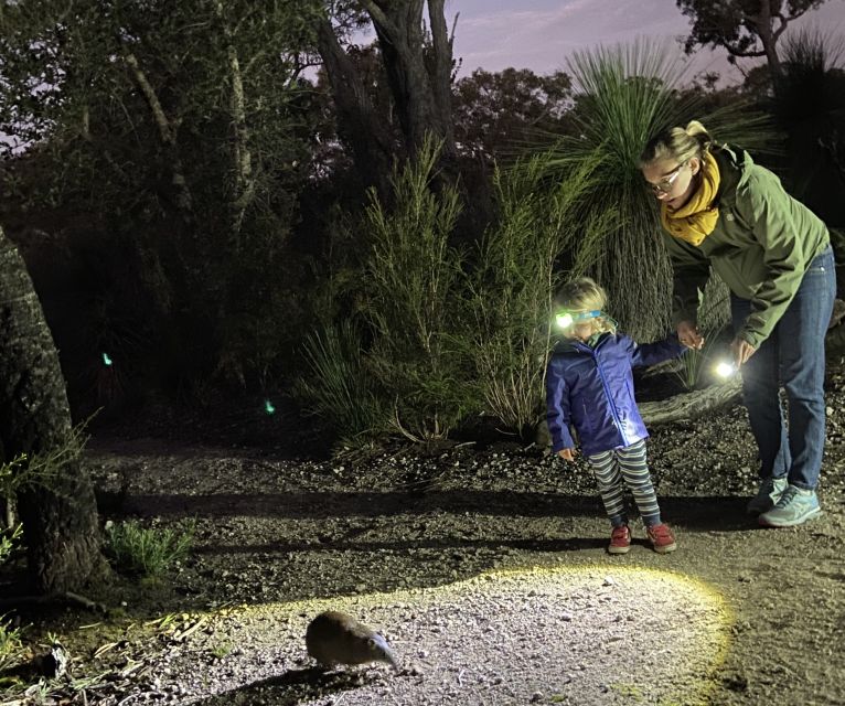 Busselton: Nocturnal Animal Tour - Customer Reviews