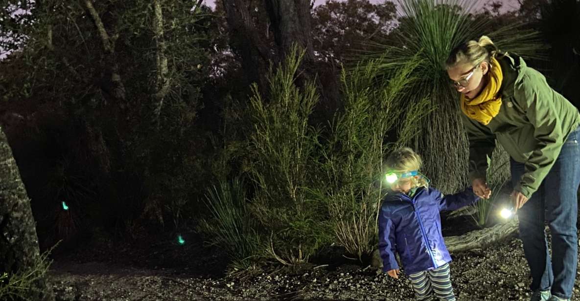 Busselton: Nocturnal Animal Tour - South West Eco Discoveries Terms and Conditions