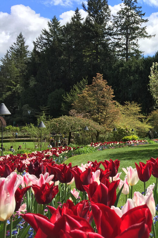 Butchart & Beyond: The Grand Victoria Tour - Key Points