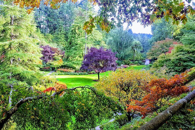 Butchart Gardens and City Highlights Private tour - Who Will Love This Tour?
