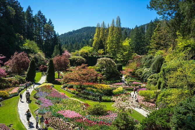 Butchart Gardens Spring & Summer Bloom Highlights (1-6pax) - A Deep Dive into the Tour Experience