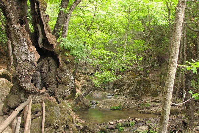 Butterflies Valley & Chalki From Rhodes - Itinerary and Activities