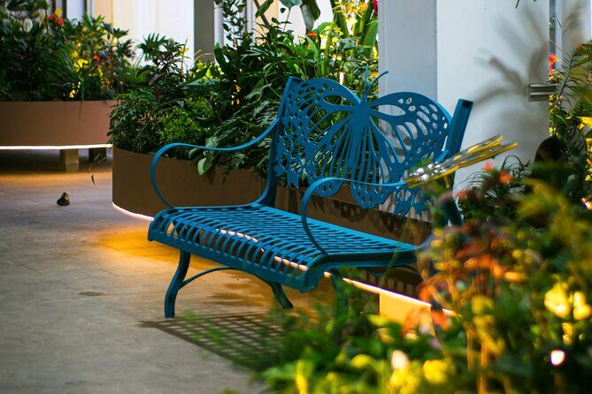 Butterfly Experience Nature Park Admission - The Itinerary and Its Highlights