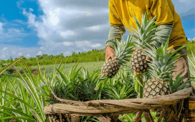 BUWACAG ECO ADVENTURE WITH TOWN TOUR - WHOLE DAY (Private) - Tour Highlights