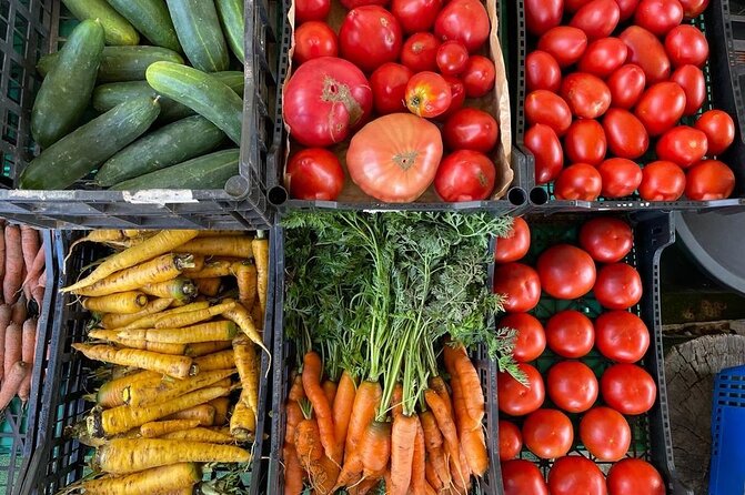 Buy, Cook & Taste-Gastronomic Tour North Portugal - Guest Reviews and Experiences