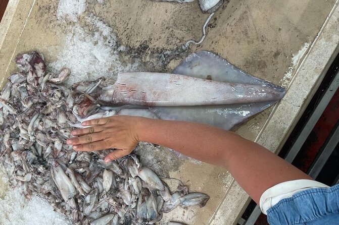 Buy, Cook & Taste-Gastronomic Tour North Portugal - Visiting the Fish Market