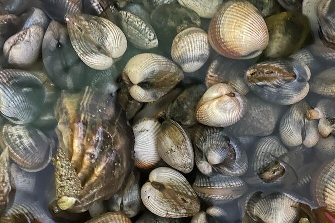 Buy, Cook & Taste-Gastronomic Tour North Portugal - Savoring the Authentic Flavors